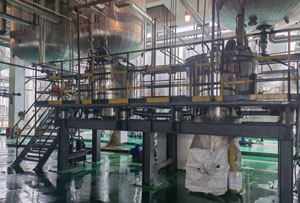 大周全自動刮刀離心機(jī)現(xiàn)場